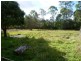 382 Woodlands Drive, Thornlands QLD 4164