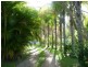 382 Woodlands Drive, Thornlands QLD 4164