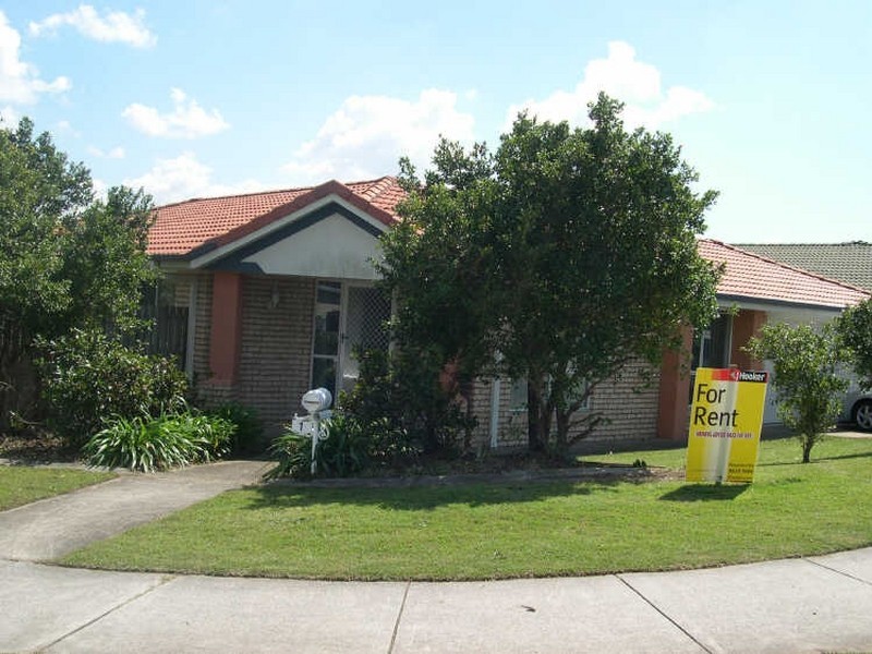 1 Sailfish Ave, Birkdale QLD 4159