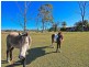 38 Gordon Rd, Redland Bay QLD 4165