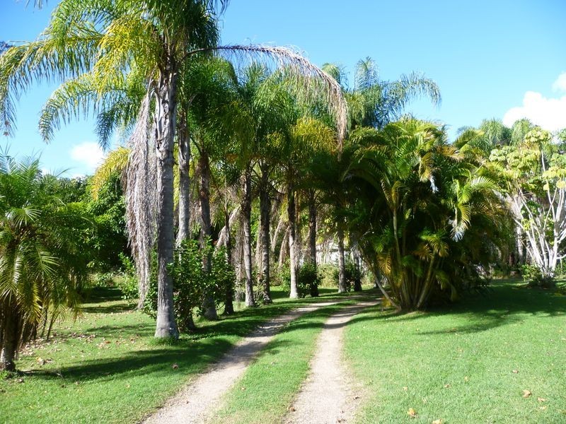 382 Woodlands Drive, Thornlands QLD 4164