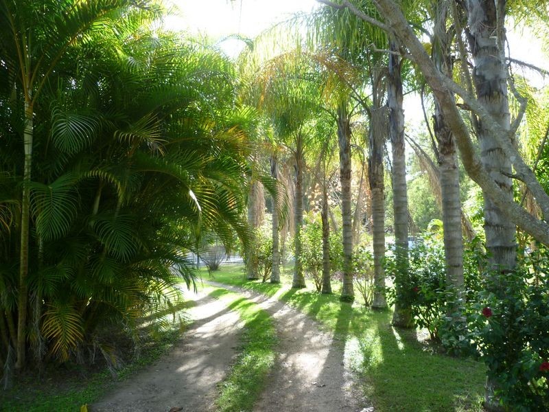 382 Woodlands Drive, Thornlands QLD 4164