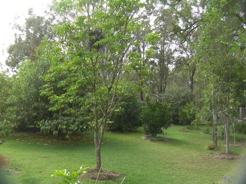 50 Woods Road, Elbow Valley QLD 4370