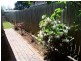 686 Old Cleveland Road East, Wellington Point QLD 4160