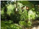 336 Woodlands Drive, Thornlands QLD 4164