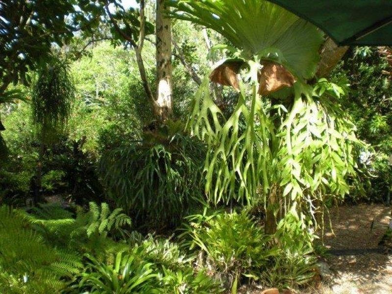 336 Woodlands Drive, Thornlands QLD 4164