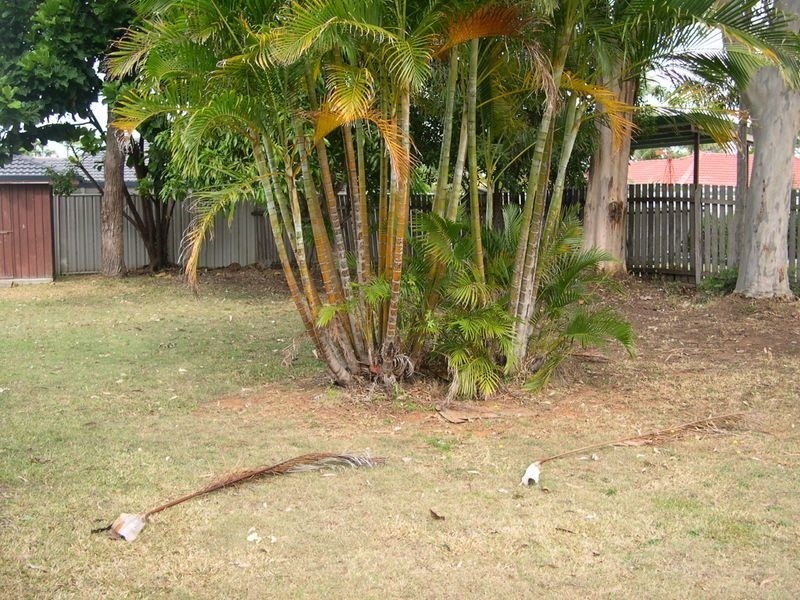 12 Sherrin Ct, Cleveland QLD 4163