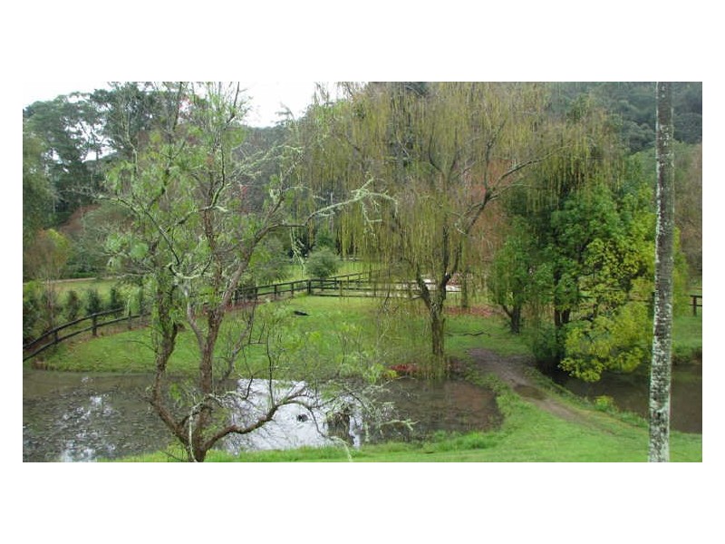 Palmdale NSW 2258