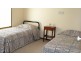 Ourimbah NSW 2258