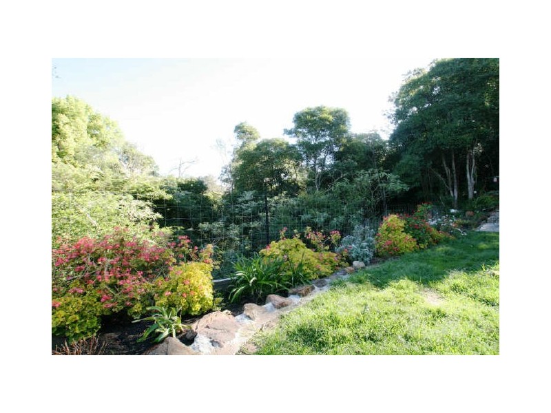 Ourimbah NSW 2258