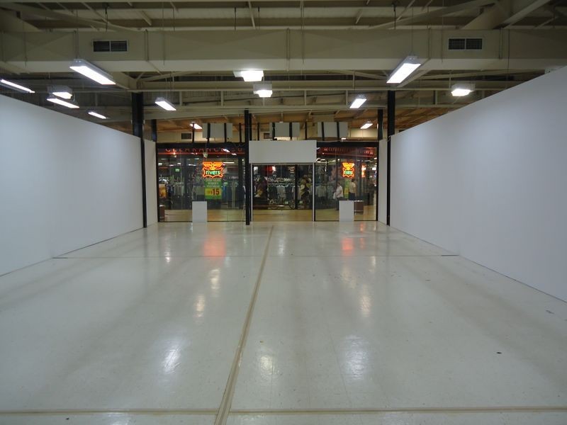 Mount Druitt NSW 2770