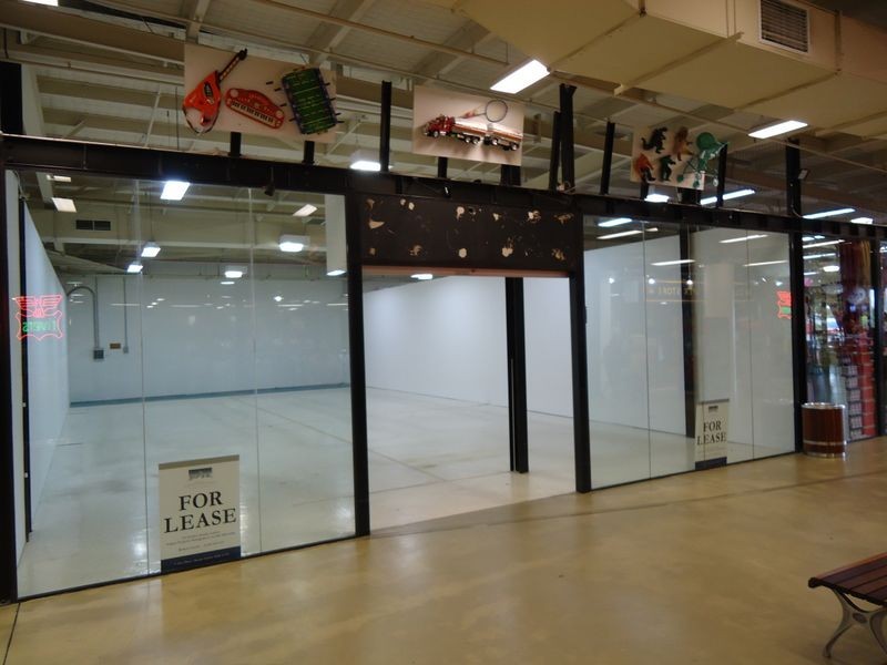 Mount Druitt NSW 2770