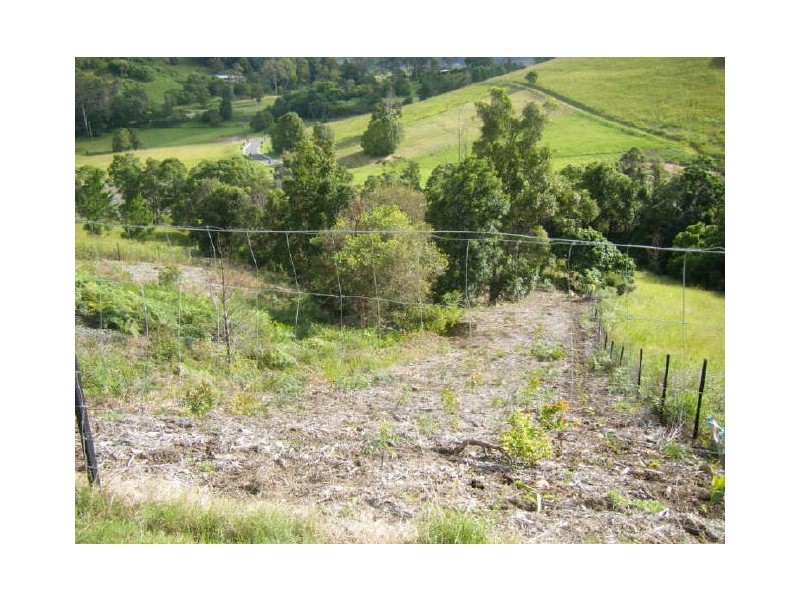 15 Wants Road, Maroochy River QLD 4561