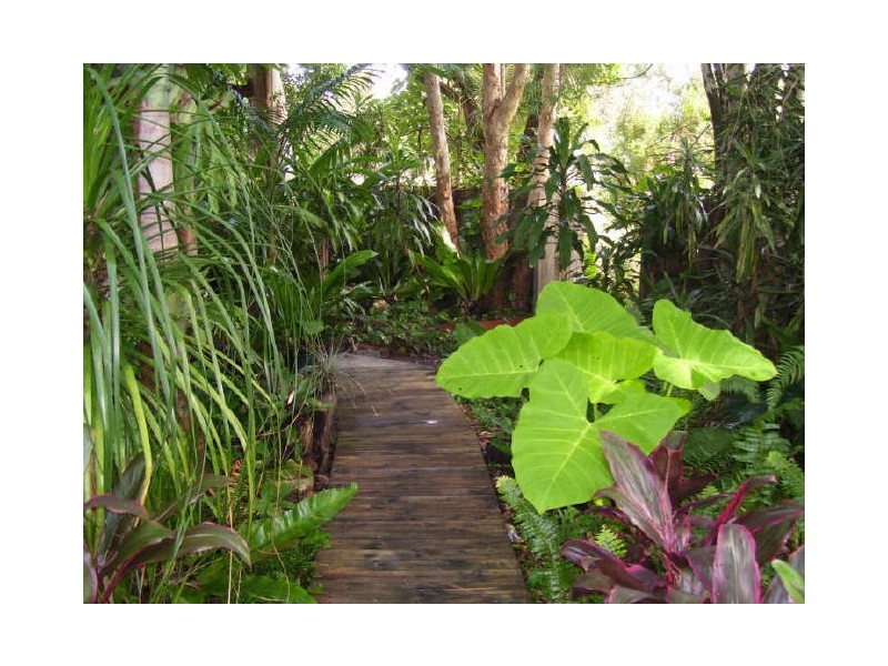 62 Lagoda Drive, Mount Coolum QLD 4573