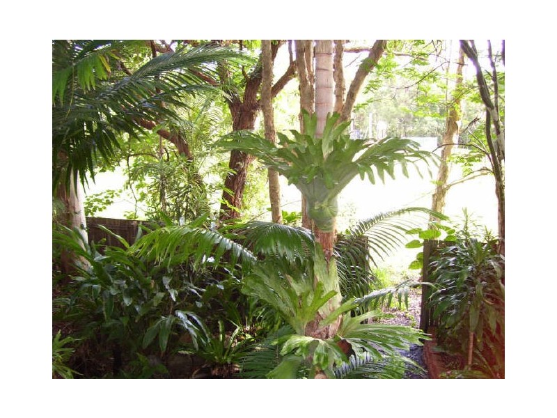 62 Lagoda Drive, Mount Coolum QLD 4573