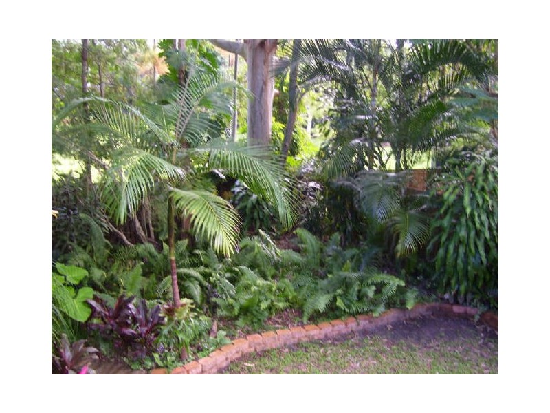 62 Lagoda Drive, Mount Coolum QLD 4573