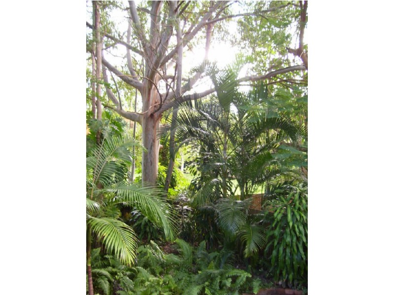 62 Lagoda Drive, Mount Coolum QLD 4573