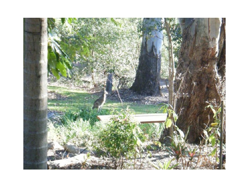 7 Mountain View Court, Ninderry QLD 4561