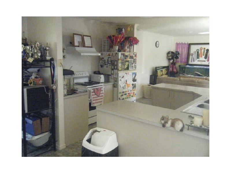 1143 David Low Way, Marcoola QLD 4564