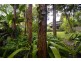 85 Neurum Road, Yaroomba QLD 4573