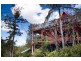 242 Verrierdale Road, Verrierdale QLD 4562
