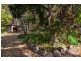 242 Verrierdale Road, Verrierdale QLD 4562