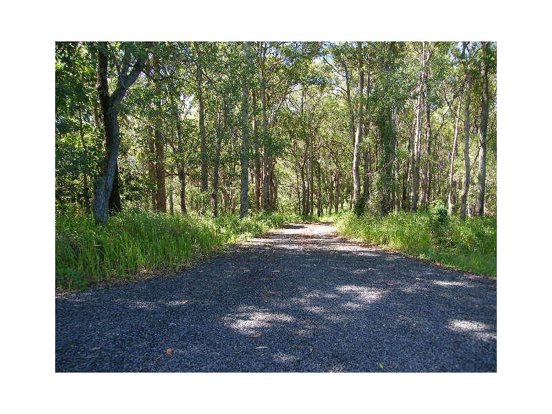 242 Verrierdale Road, Verrierdale QLD 4562
