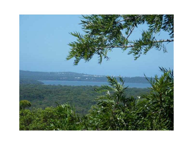 242 Verrierdale Road, Verrierdale QLD 4562