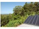 242 Verrierdale Road, Verrierdale QLD 4562