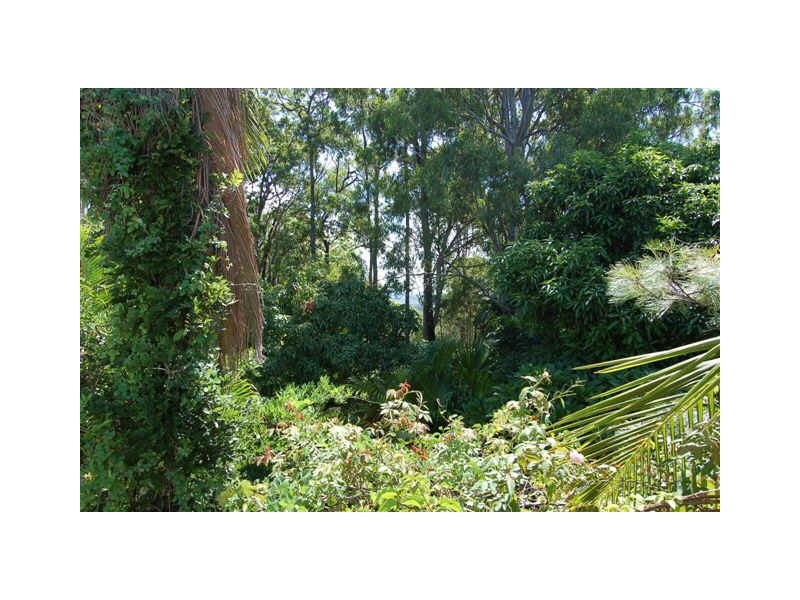 242 Verrierdale Road, Verrierdale QLD 4562