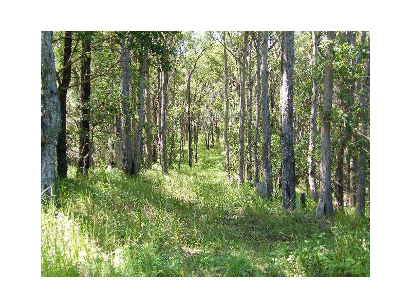 242 Verrierdale Road, Verrierdale QLD 4562