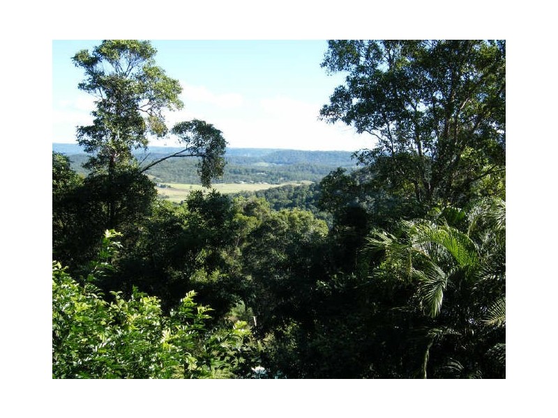 10 River Vista Court, Maroochy River QLD 4561