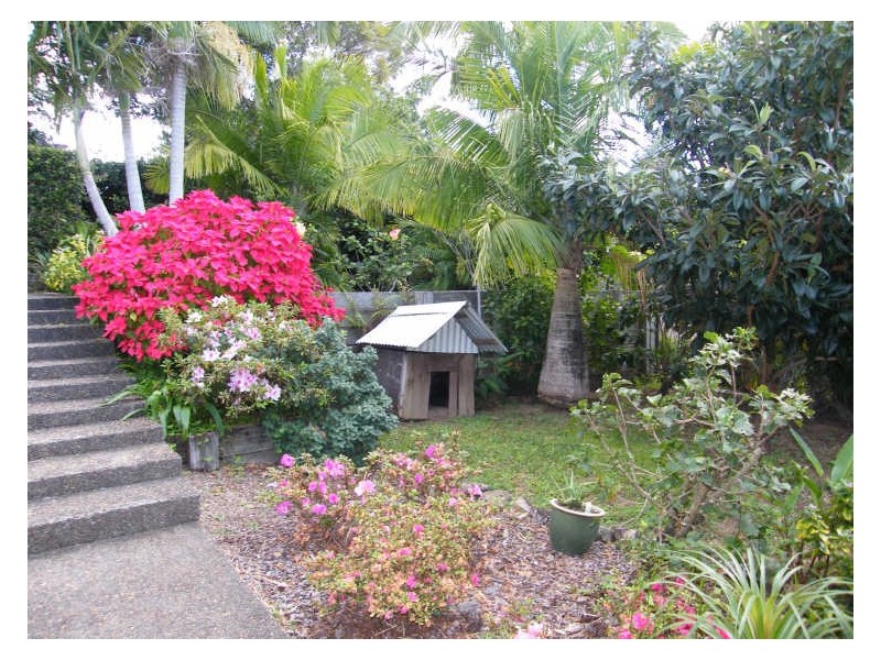 12 Caladenia Court, Maroochy River QLD 4561