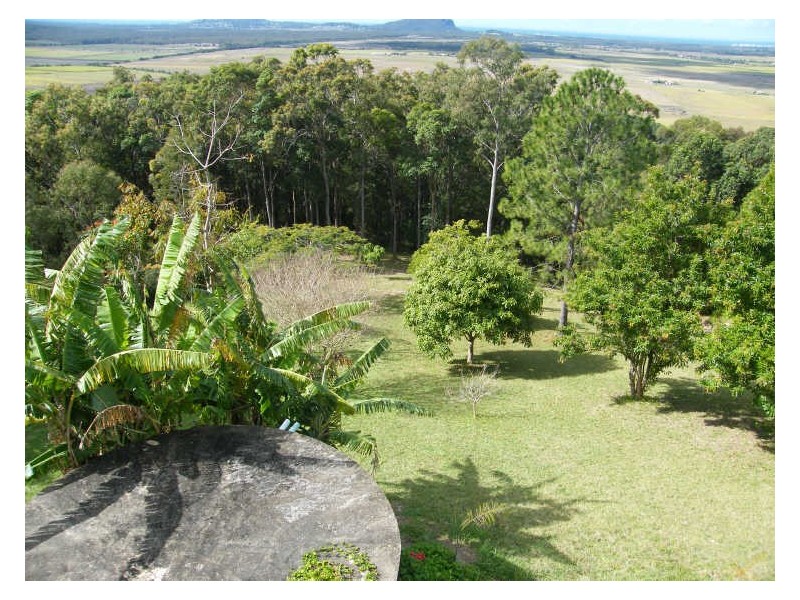 12 Caladenia Court, Maroochy River QLD 4561