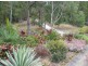 81 Leichhardt Drive, Coolum Beach QLD 4573