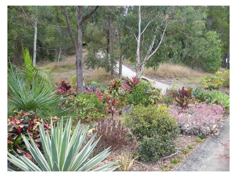 81 Leichhardt Drive, Coolum Beach QLD 4573