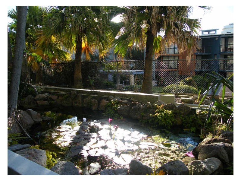 4/1740 David Low Way, Coolum Beach QLD 4573