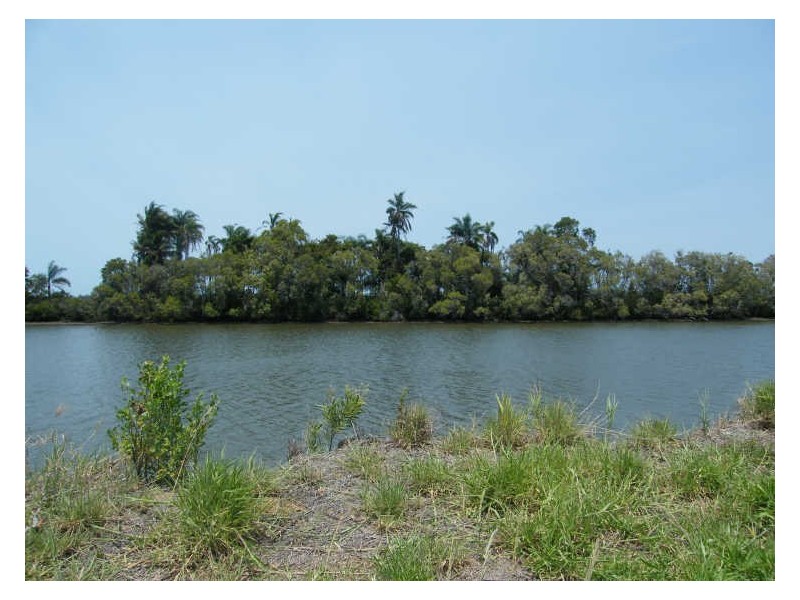 Lot 1/298 River Road, Maroochy River QLD 4561