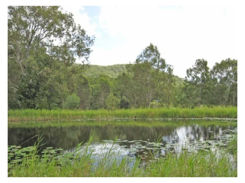 10 Celestial Court, Ninderry QLD 4561