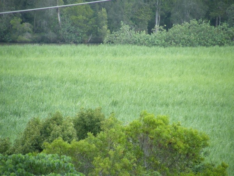 1 Yandina – Coolum Rd, Maroochy River QLD 4561