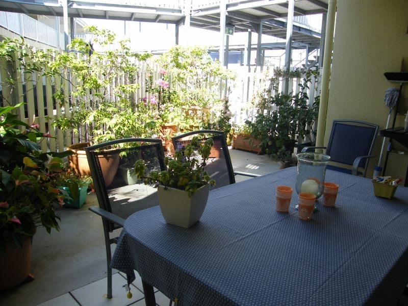54/15 Heathfield Rd, Coolum Beach QLD 4573