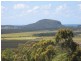 11 Caladenia Court, Maroochy River QLD 4561
