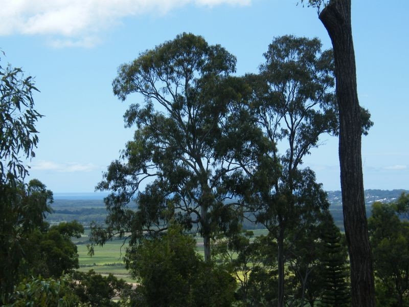 9 Donovan Place, Maroochy River QLD 4561