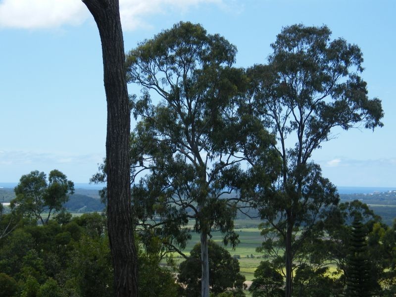 9 Donovan Place, Maroochy River QLD 4561