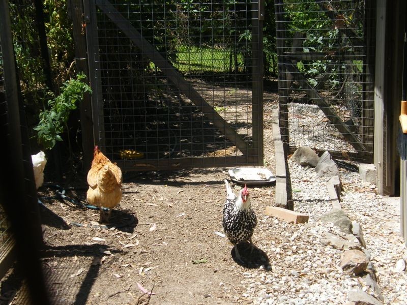 2 Old Coach Way, Ninderry QLD 4561