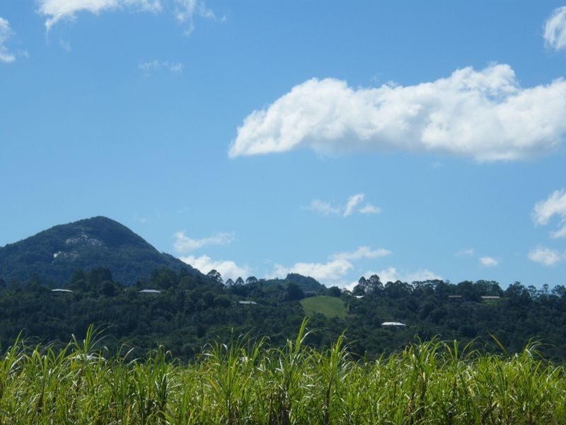 213 Memorial Drive, Eumundi QLD 4562