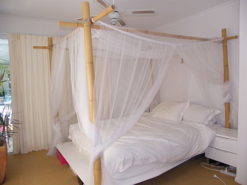 11 Peacock Court, Coolum Beach QLD 4573