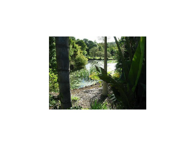 1 Forest Court, Ninderry QLD 4561