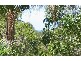6 Mindee Street, Coolum Beach QLD 4573