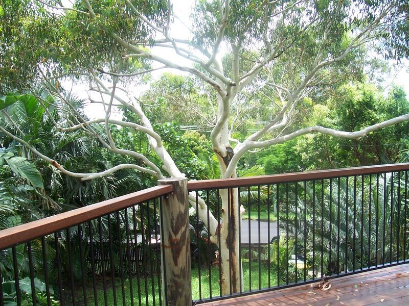 37 Warrack Street, Mount Coolum QLD 4573